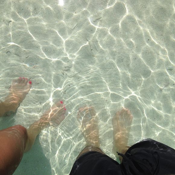 Meet your Posher, Shelby - Picture 1 of 1